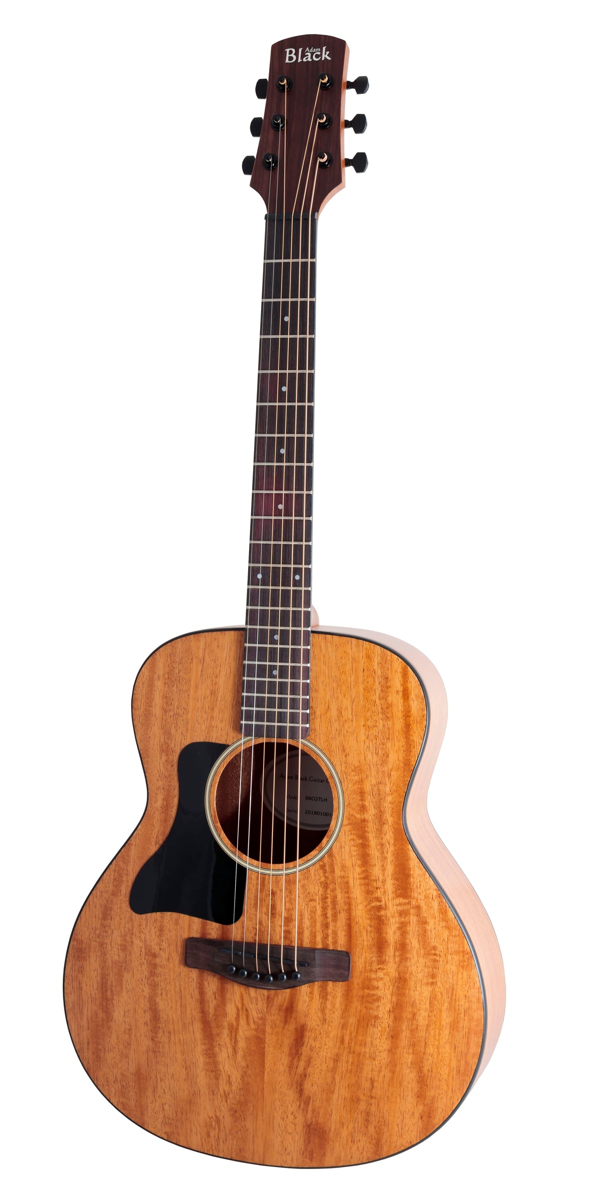 Acoustic Guitars