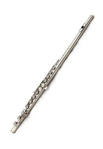 Rosetti Series 5 Flute Outfit - Silver Plate, E-Mech