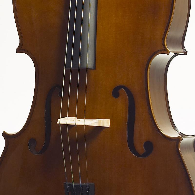 Stentor II Cello (Back Length 29.5in) 4/4