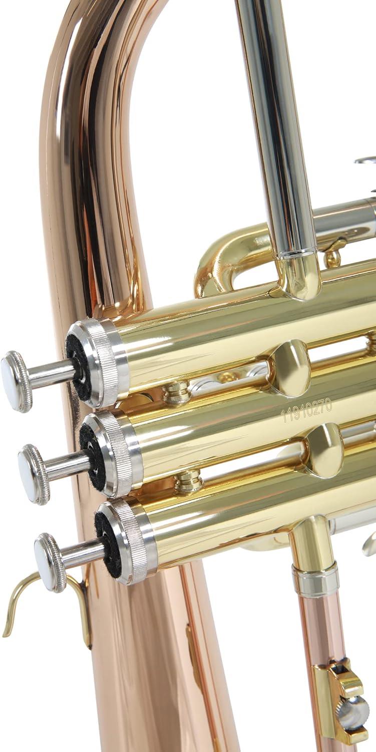 Roy Benson RB FH-302G Flugel Horn
