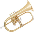 Odyssey Debut Flugel Horn