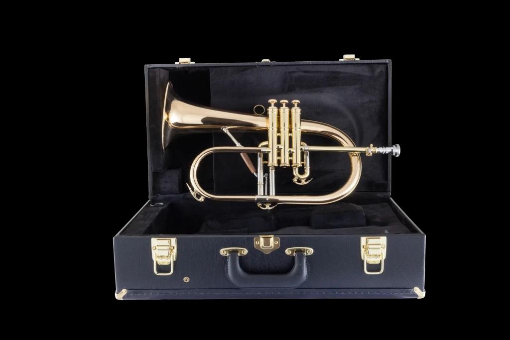 C.G. Conn Vintage One Flugel