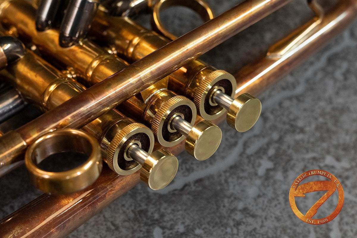 Taylor Piranha Bb Trumpet - Patina Finish