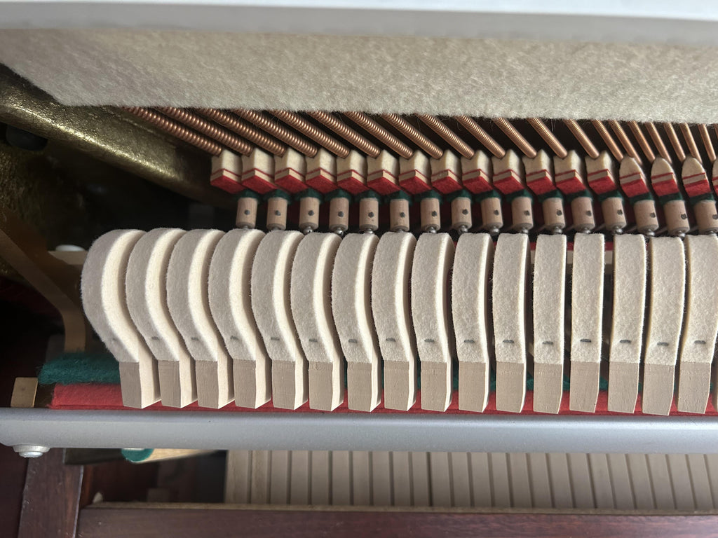 Rippen Cantabile Upright Piano