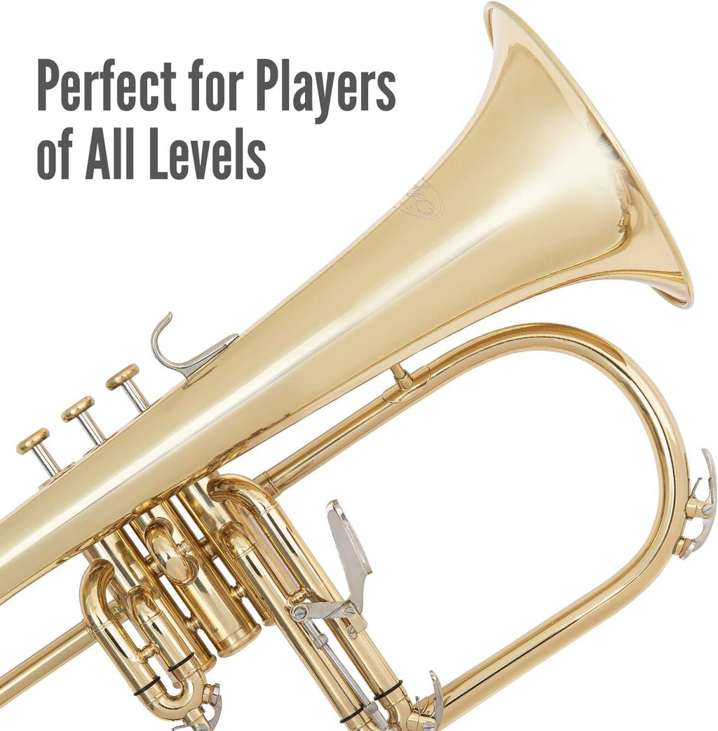 Odyssey Debut Flugel Horn