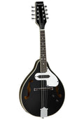 Tanglewood All Linden Teardrop F Hole Mandolin
