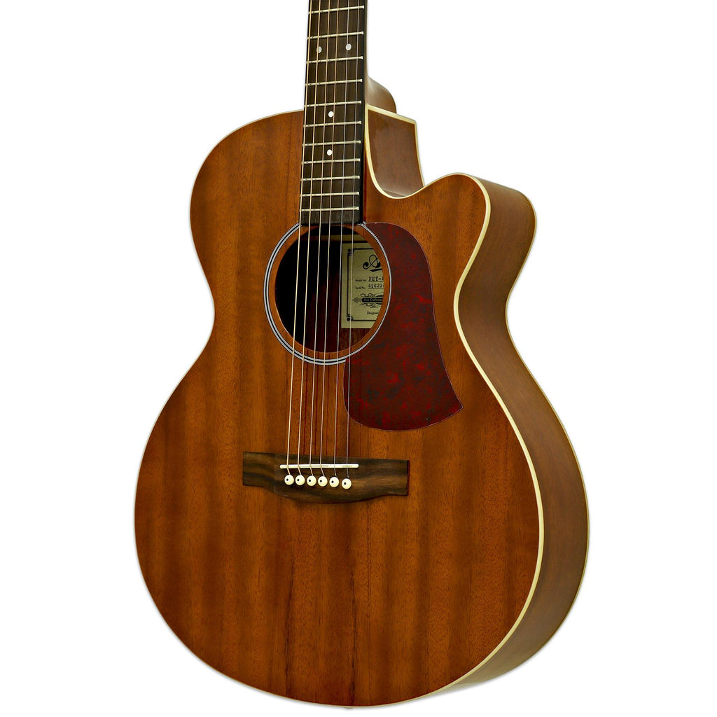 Aria Passive acoustic-electric guitar