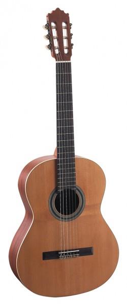 Castillo 201 Gloss Solid Cedar Top Classical Guitar