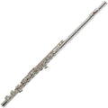 Azumi AZ-S2E Flute