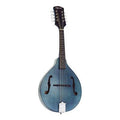 Ozark Mandolin A Model F Hole Blue