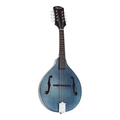 Ozark Mandolin A Model F Hole Blue