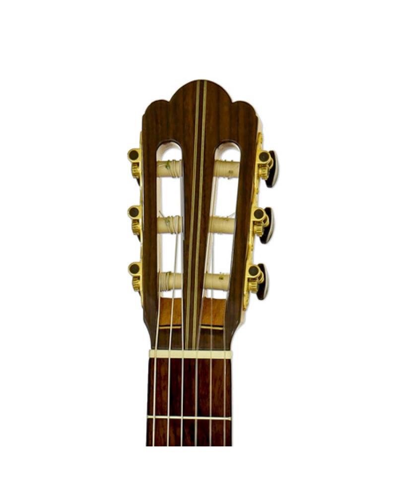 Aria S205 CLASSICAL Solid Spruce ROSEWOOD