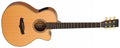 Tanglewood Great Britain Hand Built All Solid Superfolk CE ABS Hard Case
