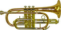 Rosetti Series 5 Cornet Lacquer