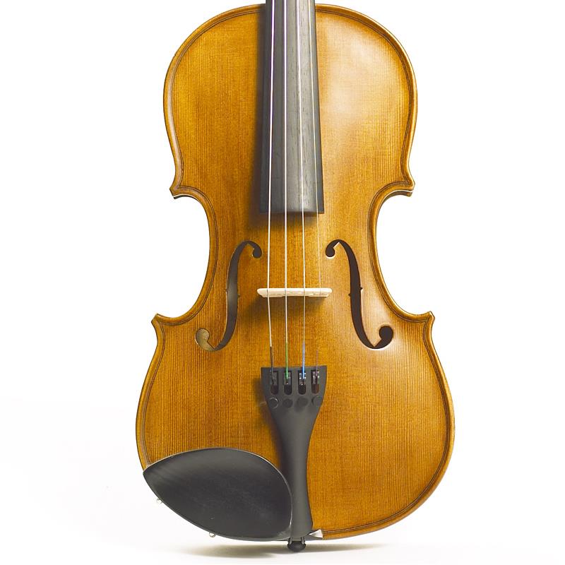 Stentor Violin Outfit Student II 3/4