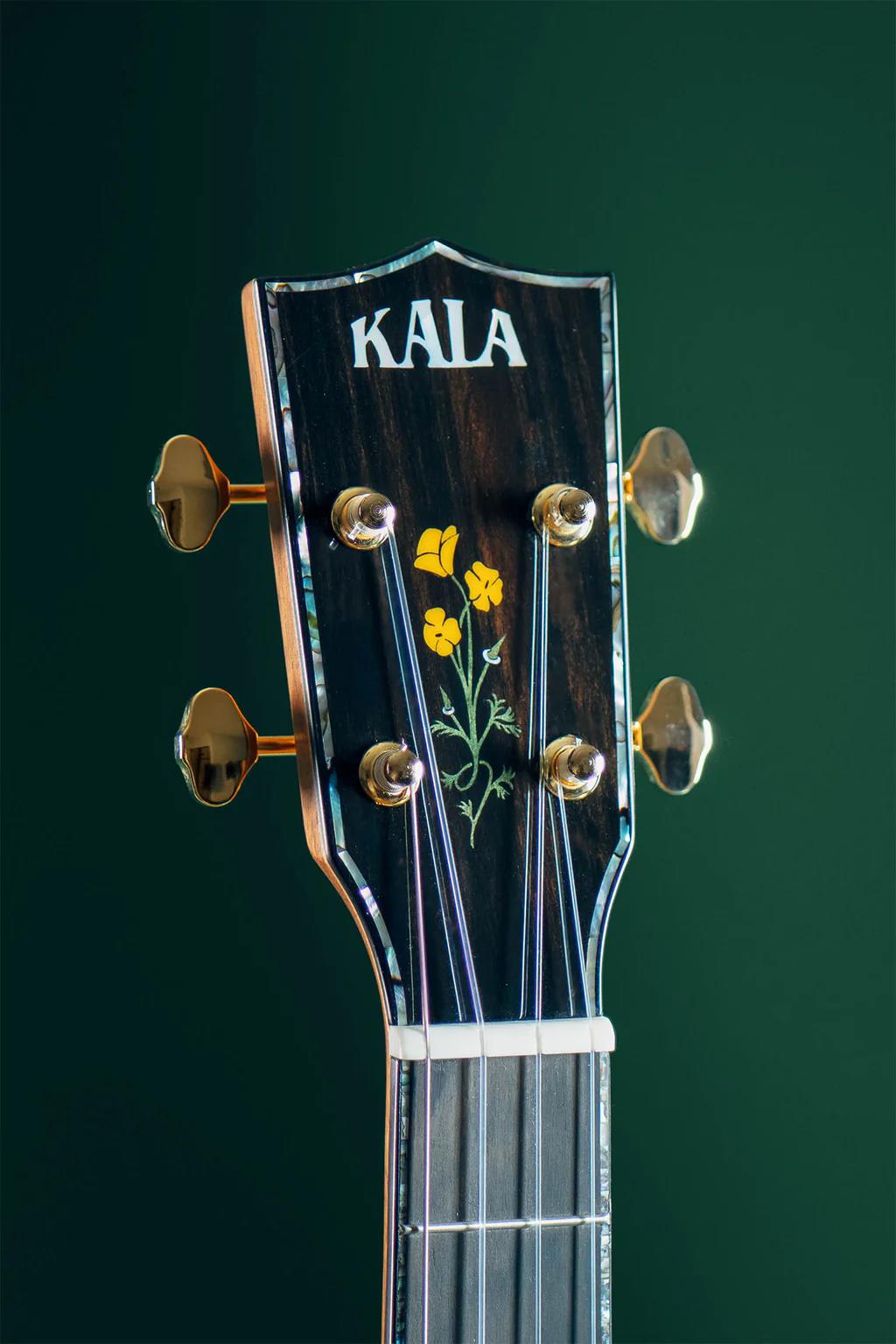 20th Anniversary Solid Koa Top Acacia Concert Ukulele
