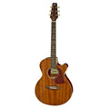 Aria Passive acoustic-electric guitar