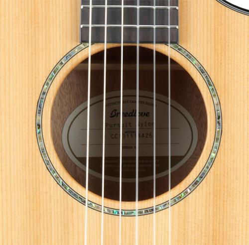 Breedlove Pursuit Concert Nylon CE Cedar/Mahogany Guitar