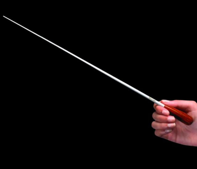 E Series Conducting Baton 16" Pau Ferro Handle Carbon Fibre Shaft