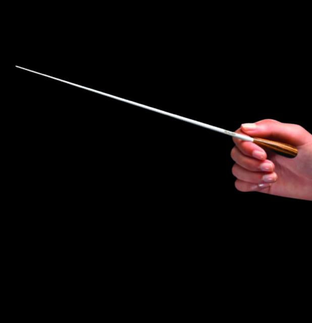 Mollard 'P' Series 12" Conductor Baton Purpleheart Carbon Fibre Shaft