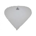 BG Flute microfibre swab