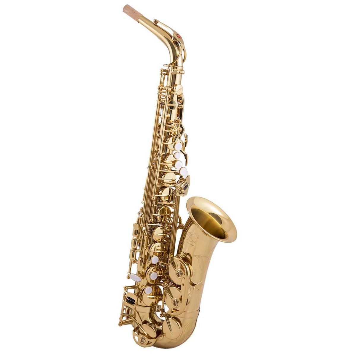 Trevor James SR EVO Alto Sax Outfit - Gold Lacquer