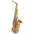 Trevor James SR EVO Alto Sax Outfit - Gold Lacquer