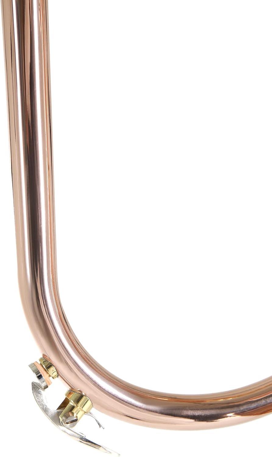 Roy Benson RB FH-302G Flugel Horn