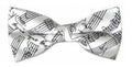 Silk Bow Tie White