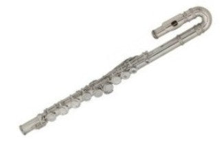 Roy Benson RB700390 Child Flute