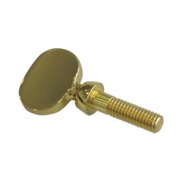 Yamaha Neck Screw