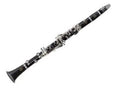 Buffet BC2512-2-0GB E12F Clarinet with Back Pack Case